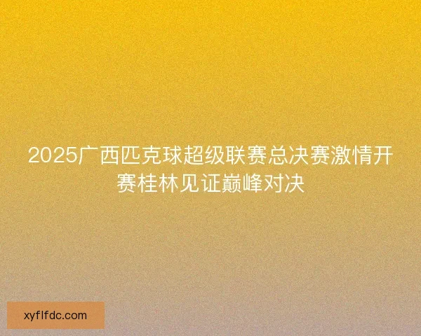 2025广西匹克球超级联赛总决赛激情开赛桂林见证巅峰对决 2025广西匹克球超级联赛总决赛激情开赛桂林见证巅峰对决