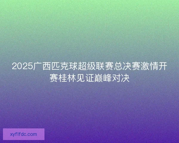 2025广西匹克球超级联赛总决赛激情开赛桂林见证巅峰对决 2025广西匹克球超级联赛总决赛激情开赛桂林见证巅峰对决